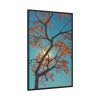 88299-45.jpg Autumn Sky Framed Canvas