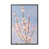 88299-51.jpg Plum Branches with blossoms Framed Canvas