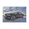 Ford Mustang Standard Canvas