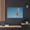 Outdoor Basketball Net Standard Canvas