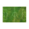 Soccer Field Standard Canvas