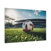 91638-175.jpg Soccer Ball On The Field Standard Canvas