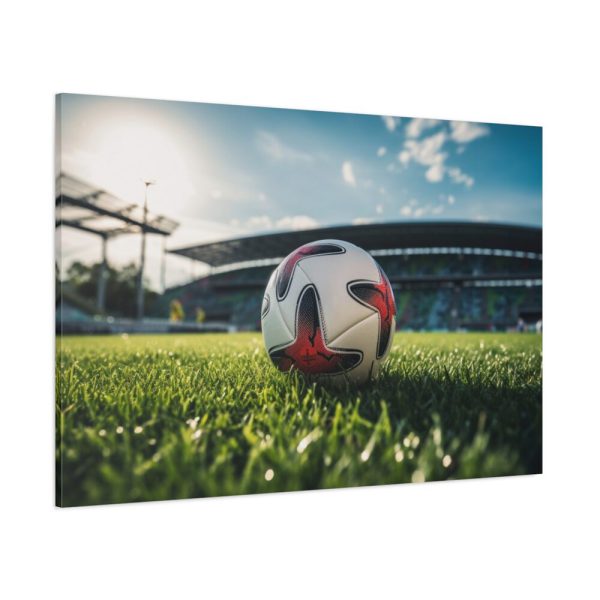 91638-175.jpg Soccer Ball On The Field Standard Canvas