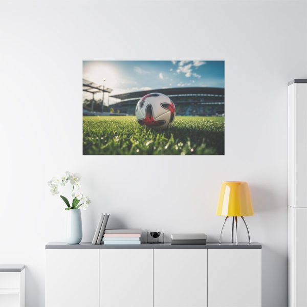 91638-177.jpg Soccer Ball On The Field Standard Canvas