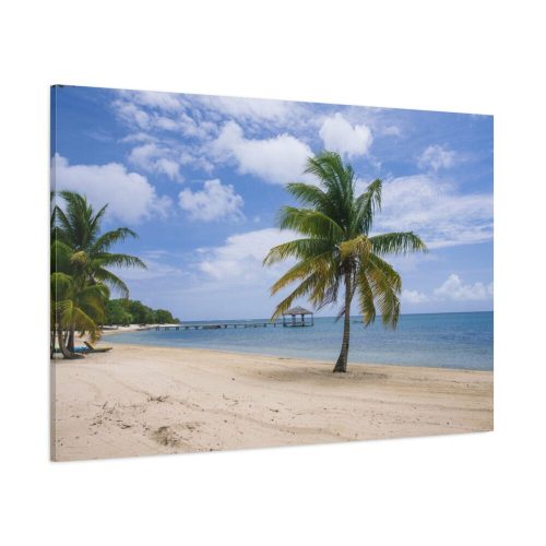 Coast With Palm Tree Standard Canvas