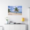 91638-217.jpg Coast With Palm Tree Standard Canvas