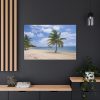 91638-218.jpg Coast With Palm Tree Standard Canvas
