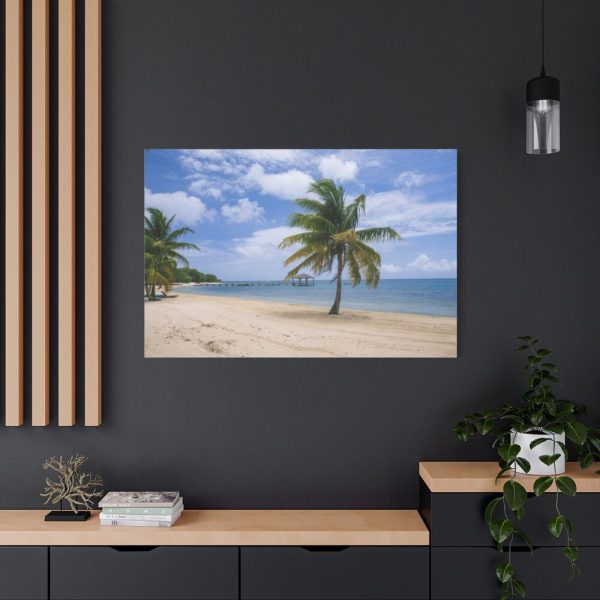 91638-218.jpg Coast With Palm Tree Standard Canvas