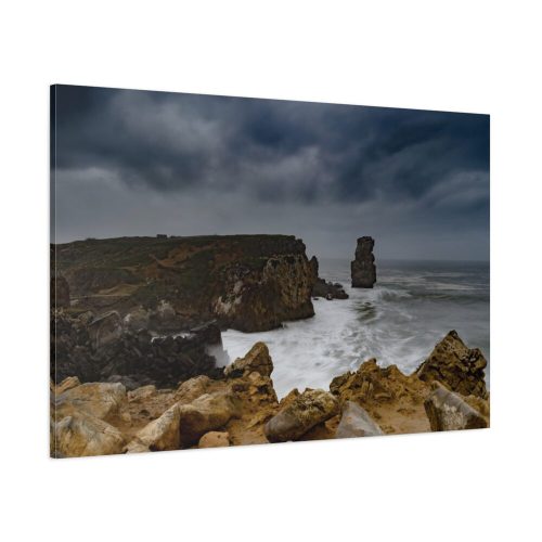 Coastline Ocean Cliffs Standard Canvas