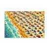 Aerial View of Vibrant Beach Scene Standard Canvas