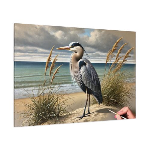 Heron on Sandy Beach Standard Canvas