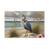 Heron on Sandy Beach Standard Canvas