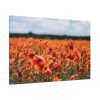 91638-335.jpg Beautiful Red Field Standard Canvas