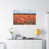 91638-337.jpg Beautiful Red Field Standard Canvas