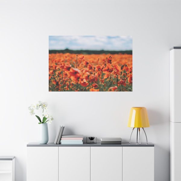 91638-337.jpg Beautiful Red Field Standard Canvas