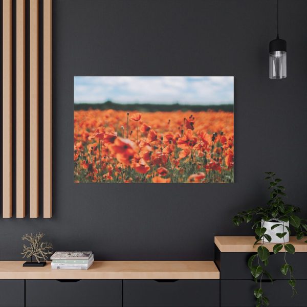 91638-338.jpg Beautiful Red Field Standard Canvas