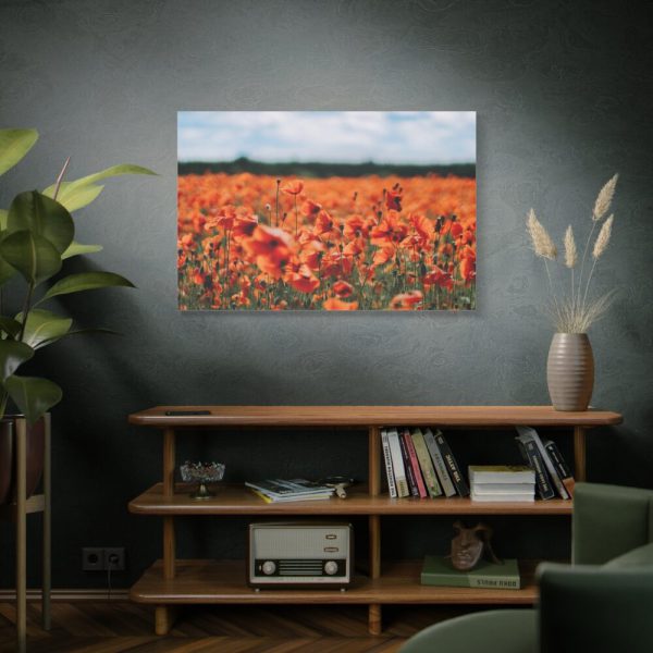 91638-339.jpg Beautiful Red Field Standard Canvas