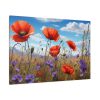 Wildflowers Meadow Standard Canvas