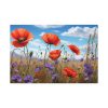 Wildflowers Meadow Standard Canvas