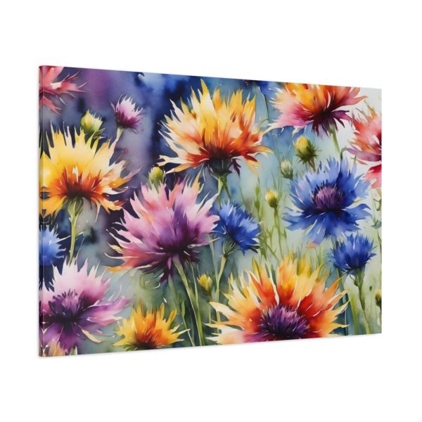 91638-350.jpg Cornflowers Wildflowers Standard Canvas
