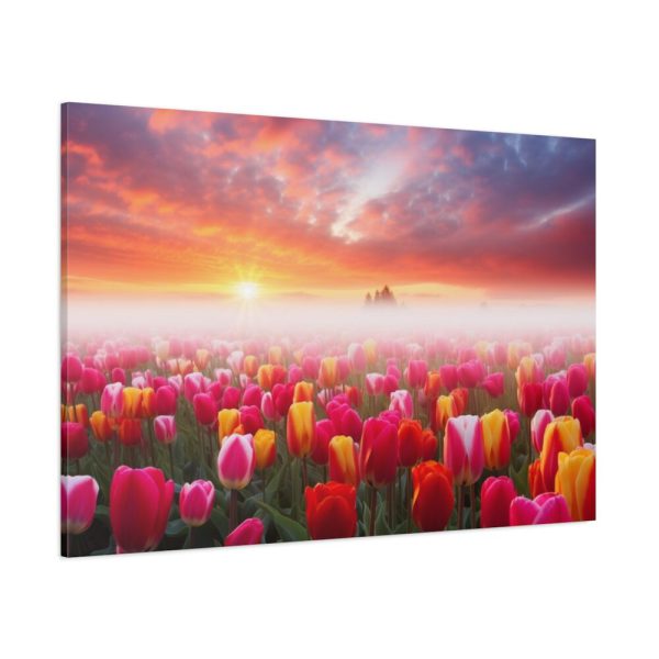 Tulip Field In The Morning Standard Canvas