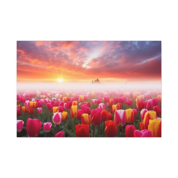 Tulip Field In The Morning Standard Canvas