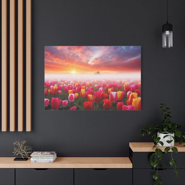 Tulip Field In The Morning Standard Canvas