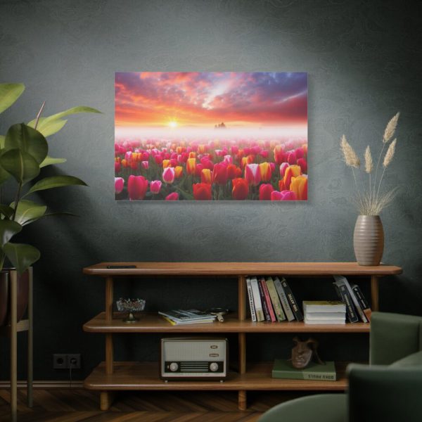 Tulip Field In The Morning Standard Canvas