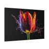 91638-370.jpg Close-up Shot Tulip Standard Canvas