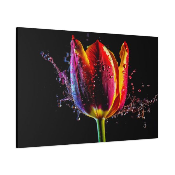 91638-370.jpg Close-up Shot Tulip Standard Canvas