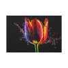 91638-371.jpg Close-up Shot Tulip Standard Canvas