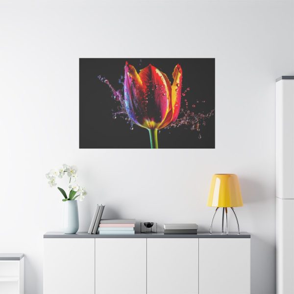 91638-372.jpg Close-up Shot Tulip Standard Canvas