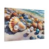 Shells Beach Sea Art Standard Canvas