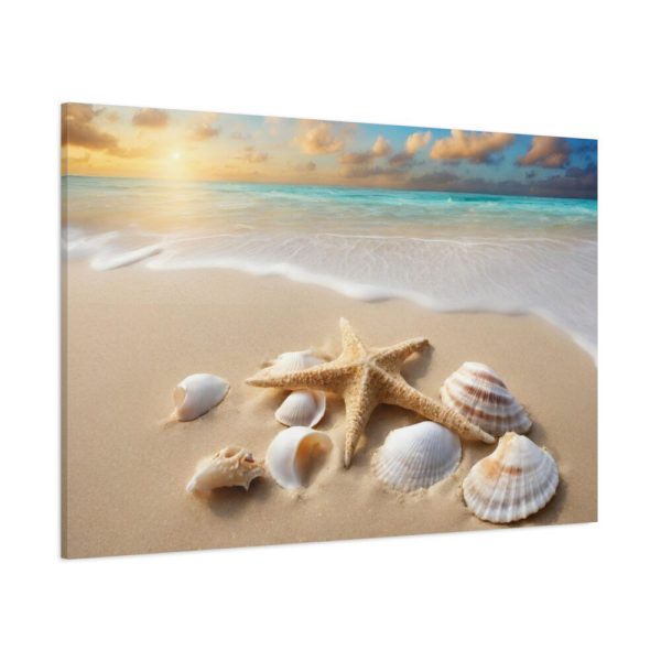 91638-420.jpg Sandy Beach With Seashells I Standard Canvas