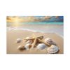 91638-421.jpg Sandy Beach With Seashells I Standard Canvas