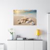 91638-422.jpg Sandy Beach With Seashells I Standard Canvas