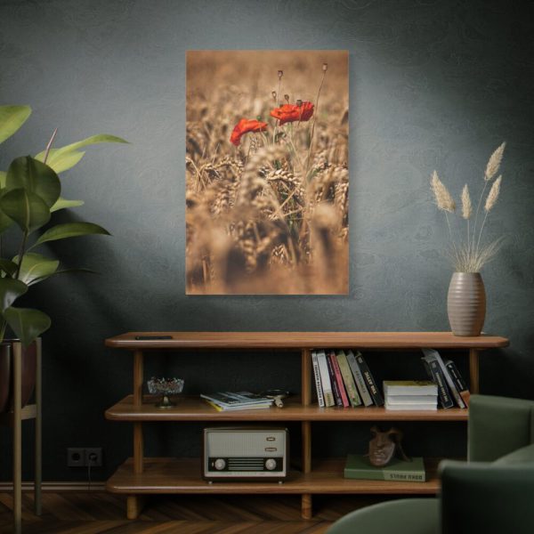 91655-39.jpg Poppy in Cornfield Standard Canvas
