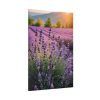 91655-45.jpg Lavender Flowers Field Standard Canvas