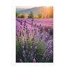 91655-46.jpg Lavender Flowers Field Standard Canvas