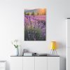 91655-47.jpg Lavender Flowers Field Standard Canvas