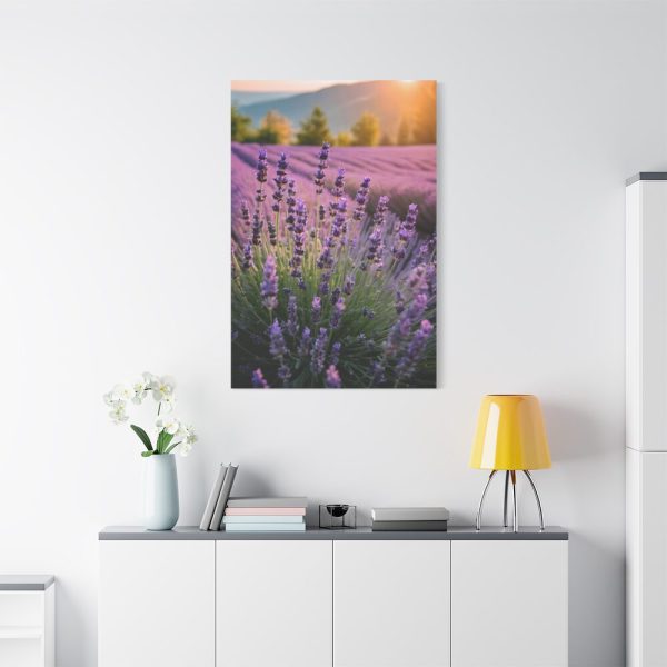 91655-47.jpg Lavender Flowers Field Standard Canvas