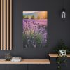 91655-48.jpg Lavender Flowers Field Standard Canvas
