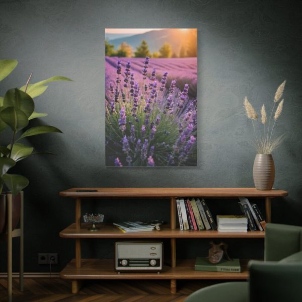 91655-49.jpg Lavender Flowers Field Standard Canvas