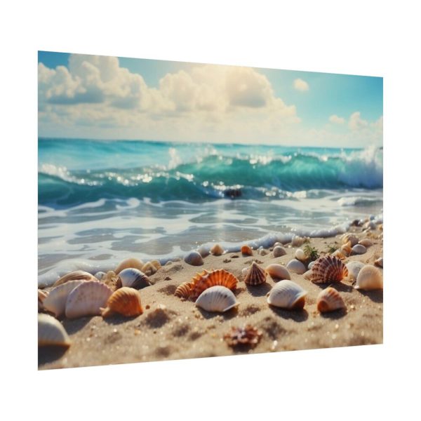 Sandy Beach With Seashells II Poster