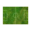 Soccer Field Poster