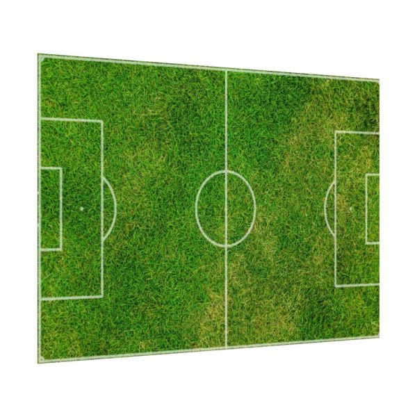 Soccer Field Poster