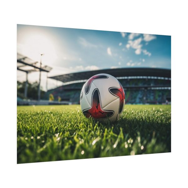 Soccer Ball On The Field Poster