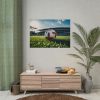 Soccer Ball On The Field Poster