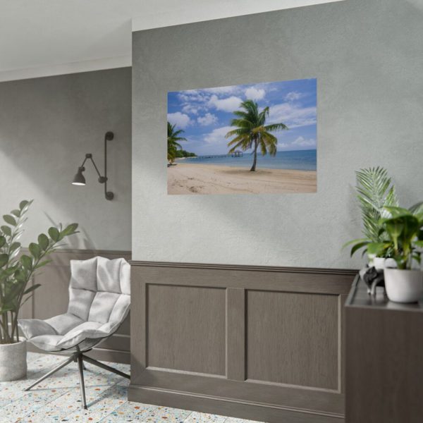Coast With Palm Tree Poster