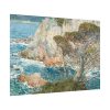 Point Lobos, Carmel Poster